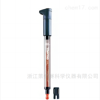 8165BNWP 环氧树脂体 复合 pH 电极